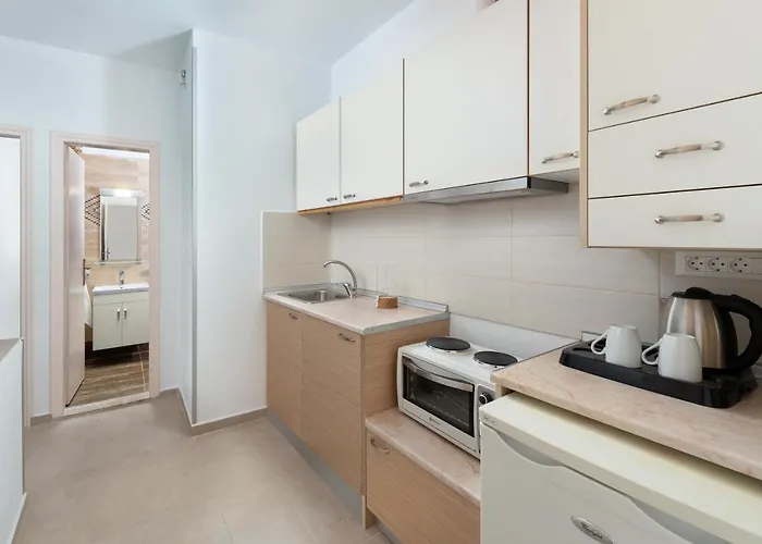 埃琳娜酒店 4* 锡米