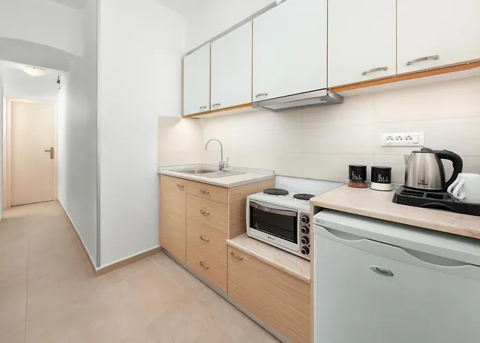 埃琳娜酒店 招待所 4*