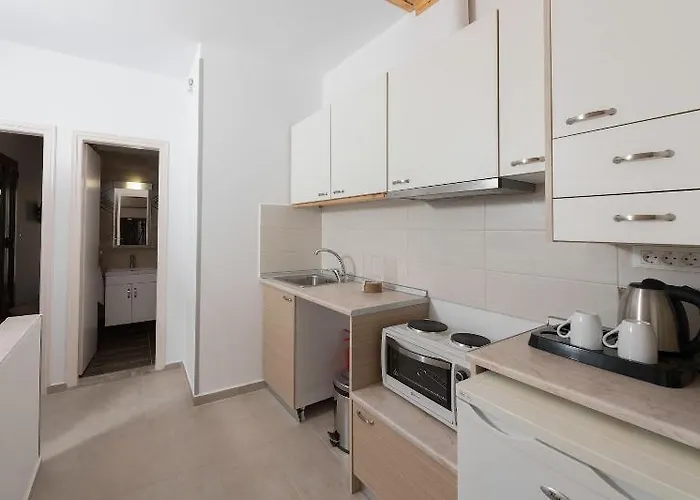 招待所 埃琳娜酒店 锡米